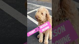 Tune Time With Winnie Follow For Daily Videos