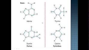 intro to genetic code lec 8( 16.12.20)DPT 1st semester 2020-2025