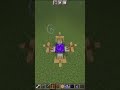 tiktok hack in Minecraft 🥺🥺🥹🥹🥺 #shorts