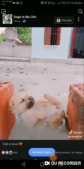 4 May 2019