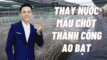 THAY NƯỚC mấu chốt thành công nuôi tôm công nghệ cao.