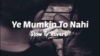 Ye Mumkin To Nahi - LOFI  | Sahir Ali Bagga | ROCKS SLOW & RESERVED