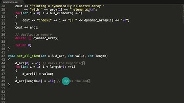 How to Create a Dynamically Allocated Array and Some More Cool Stuff C++