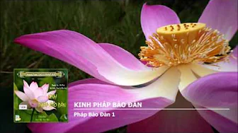 K.Pháp Bảo Đàn - Pháp Bảo Đàn 1 