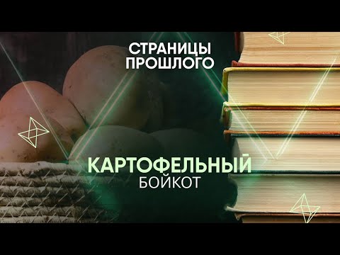 Картофельный бойкот: зачем жители ЮАР отказались от одного их главных продуктов в своем рационе?