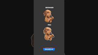 Adobe Illustrator 2026 Vector Trick – How to Outline Objects Like a Pro!