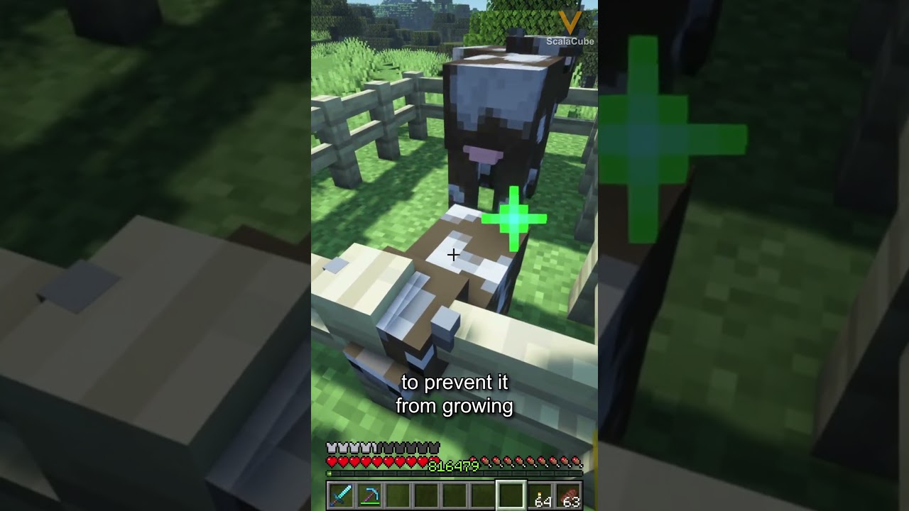 What Are Golden Dandelions in Minecraft