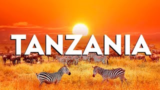 Top 10 Best Things to Do in Tanzania - Travel Video 2024
