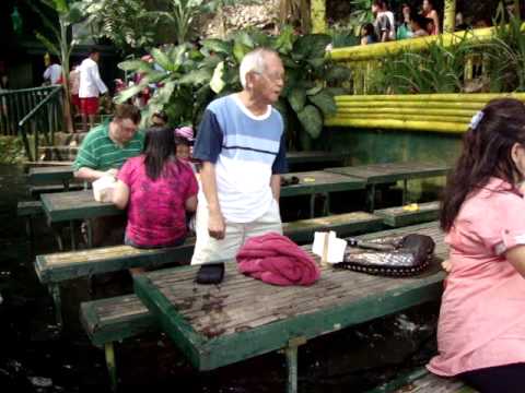 Lunch at Waterfalls Restaurant (Villa Escudero)