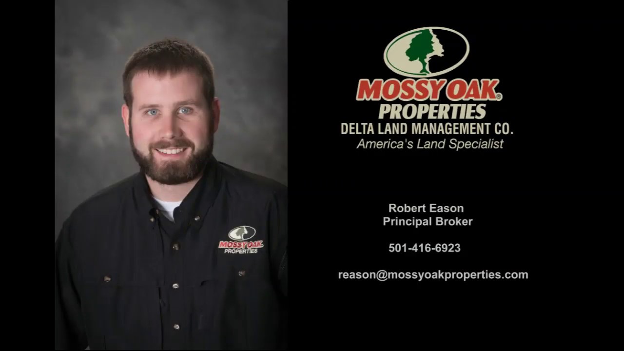 90 acres for sale Ethel, AR YouTube
