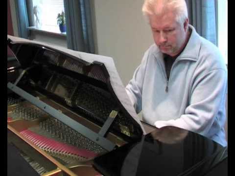 Bjarne E. Nielsen - Sonata K 380 in E major Andant...