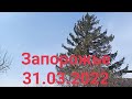 Запорожье утро 31.03.2022