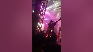 peeweegaskins starcross jogja