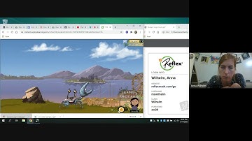 Introduction to Reflex Math