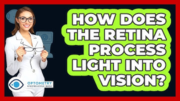 How does the retina process light into vision?