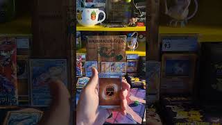 Pokémon Day 271 Journey Together chasing Clefairy and Salamence