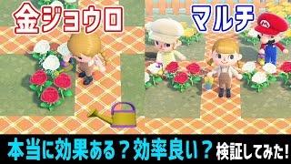 金ジョウロって効果ある?フレンドの水やりって効率的?青バラ交配で検証してみた!【あつ森】