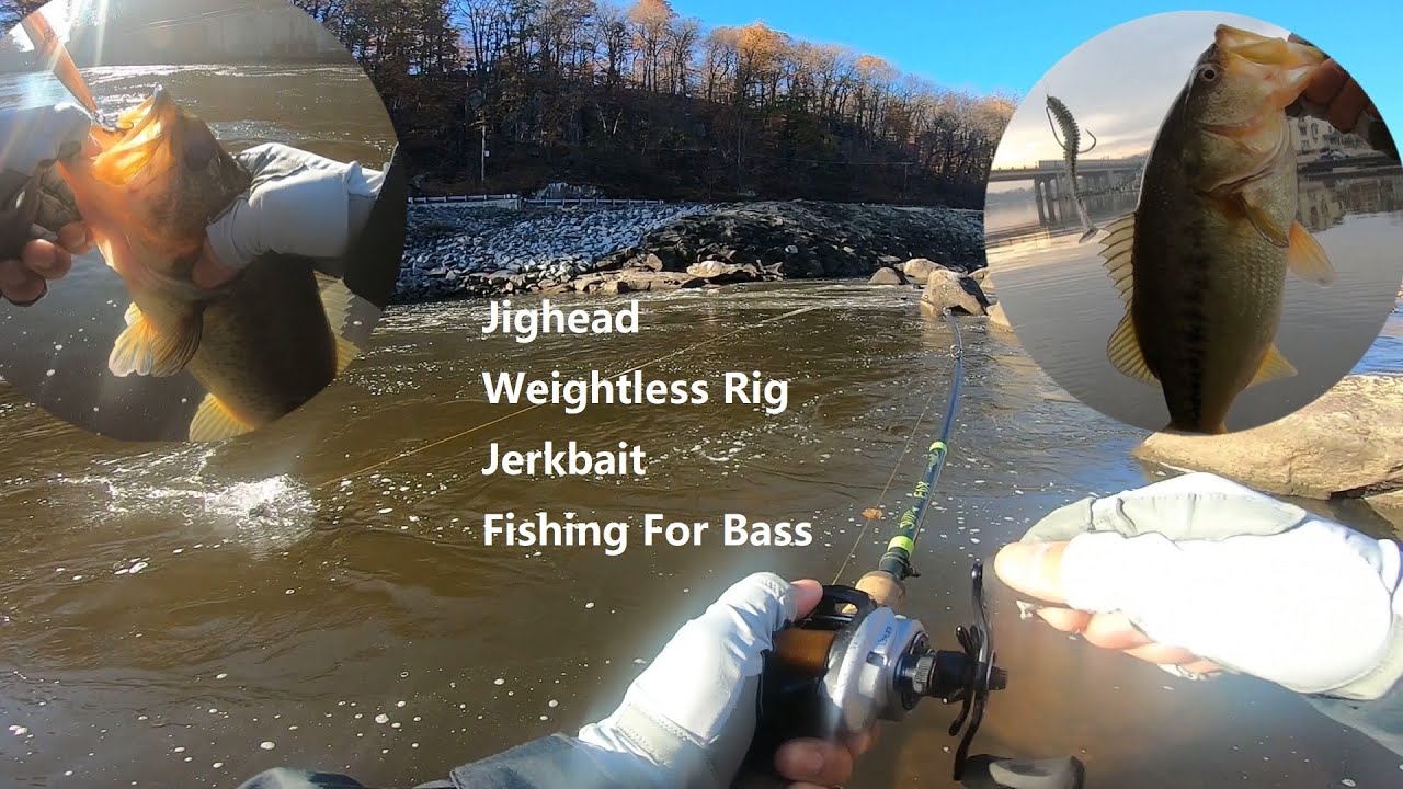 Jighead/Weightless Rig/Jerkbait Fishing For Bass River Fishing YouTube