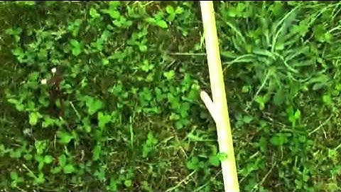 Nerf Alpha Trooper Cs-18 Range Test