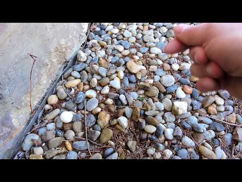 Videó: Zúzott Kő-homok Keverék: С4 és С5, С2 és С1, Az Anyag Sűrűsége és Térfogatsűrűsége С6, Cementtel Megerősítve