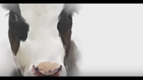 (애니메이션)젖소 모아이나 이야기