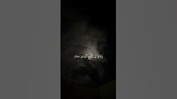 .“إِنَّكَ لَا تَهْدِي مَنْ أَحْبَبْتَ وَلَٰكِنَّ اللَّهَ يَهْدِي مَن يَشَاءُ”قوة الآية… تهز القلب