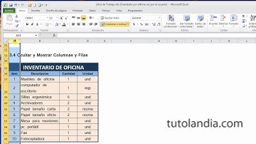 Excel 2010 Basico: 3.4 Ocultar y Mostrar Columnas y Filas