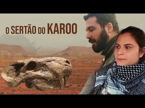 Vídeo: Expedição Secreta De Pedro I à África - Visão Alternativa