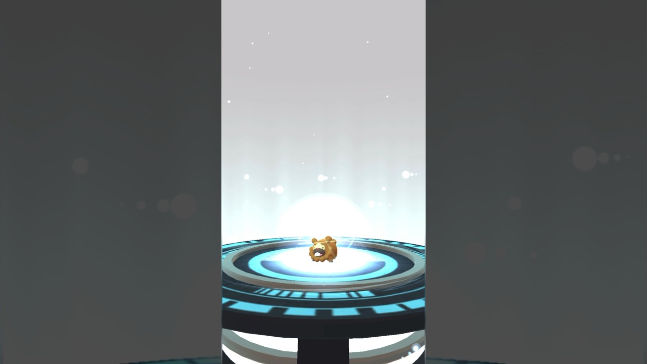 Evolving bidoof in Pokémon go 