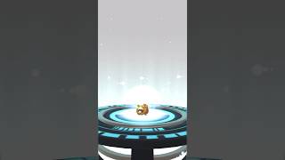 Evolving bidoof in Pokémon go #shorts