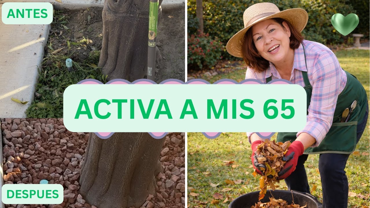 Nunca es tarde para cuidarte ,asi me mantengo activa a mis 65