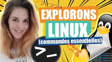 Maîtrisez le terminal Linux : Commandes Essentielles pour Débutants