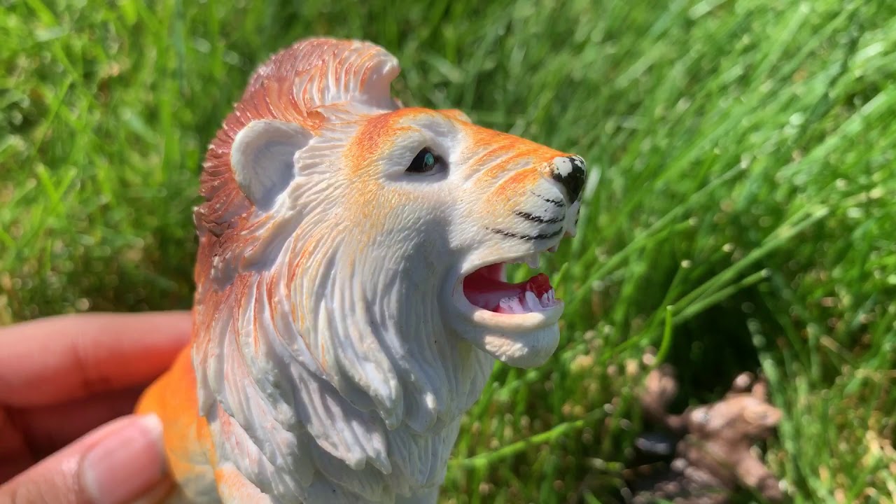 Animal Island: S1 E1: New Paradise - YouTube