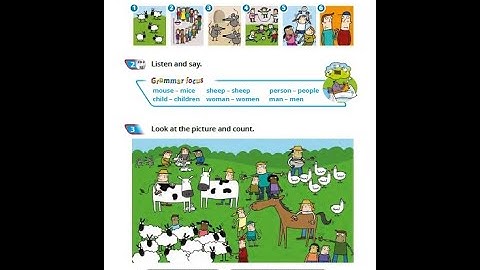 Quick minds 2 Unit 7 Irregular plurals