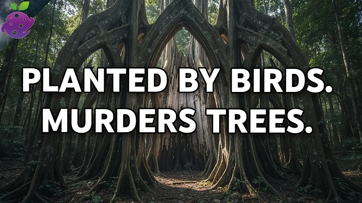 15 Trees So Strange You Won’t Believe They Exist