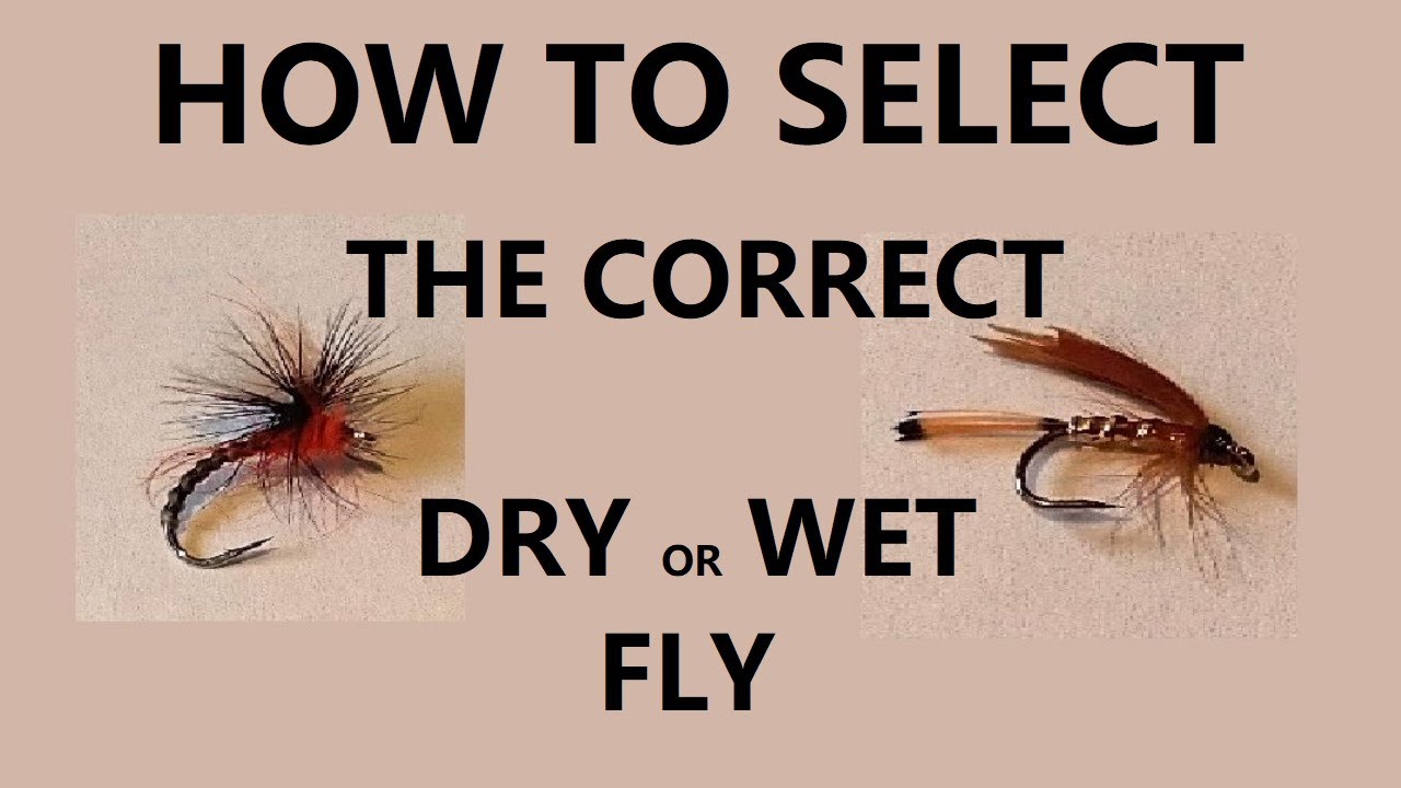 26. BEST Dry Fly and Wet Flies for Trout Fishing 