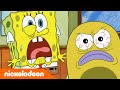 Bob Esponja | O Patrick é um bom professor? | Nickelodeon em Português