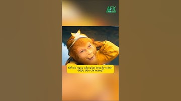 Vì sao Tôn Ngộ Không không dùng 3 sợi lông cứu mạng cho Đường Tăng trong Tây Du Ký?