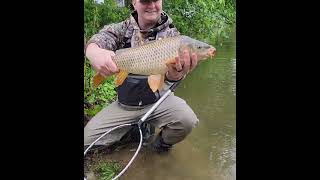 Catching Giant Carp in a Small Pond #carpfishing #carp #fishing #fishingvideo