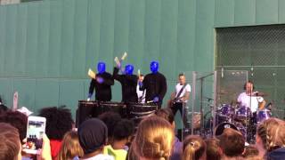 Blue Man Group at Picnic in the Park (7/30/17)