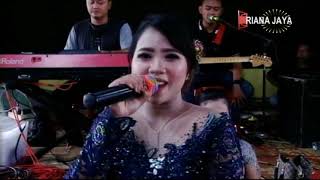 Lunggamu Ninggal Kenangan(golek liyane) Areva Musik ||RianaJaya Multimeda ||Blehor Jaya Sound