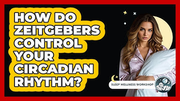 How Do Zeitgebers Control Your Circadian Rhythm? - Sleep Wellness Workshop