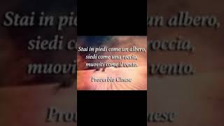 Proverbio cinese