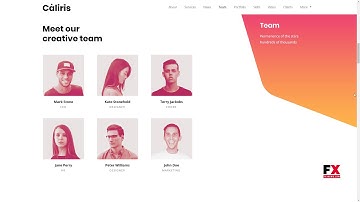 Caliris - Responsive One Page WordPress Theme        Rian Berry