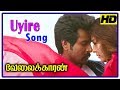 Velaikkaran | Velaikkaran songs | Iraiva Video song | Anirudh songs | Nayanthara songs | Iraiva song