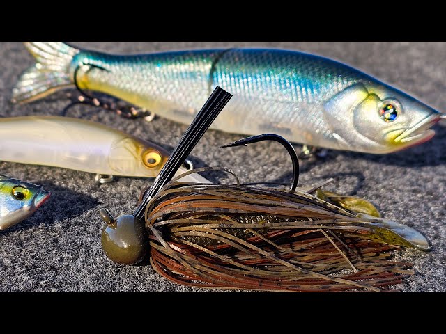 10 Tips for Bait Fishing – Tackle Tactics