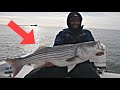 WE STRUCK GOLD! //BIG Striped Bass Emerges While Flounder Fishing! (Spring 2024)