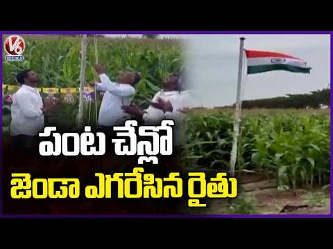 Jagtial Farmer Tirupathi Reddy Hoists National Flag in Maize Field | V6 News - V6NEWSTELUGU