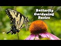 Create a butterfly garden from scratch