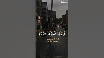 تلاوة للشيخ سعد الغامدي ماتيسر من سورة الروم